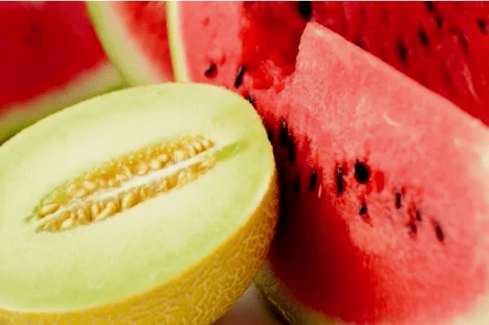 Dieta de melão de melancia